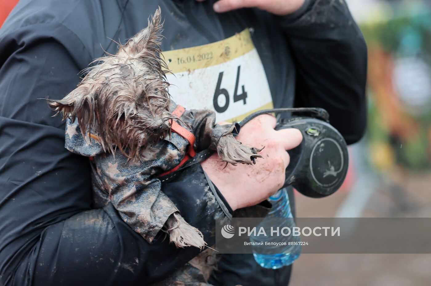 лисья гора забег