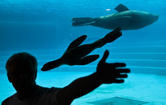 Мэр Москвы С. Собянин посетил Московский зоопарк | РИА Новости Медиабанк