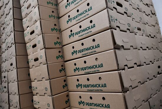 Производство готовой еды в Свердловской области | РИА Новости Медиабанк