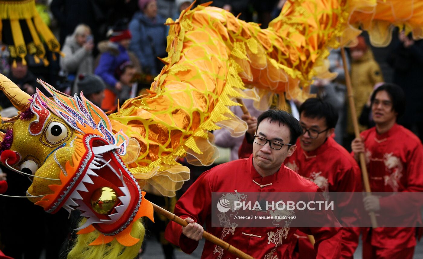 Карнавальный Китайский Дракон