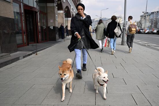 Весенняя погода в Москве
