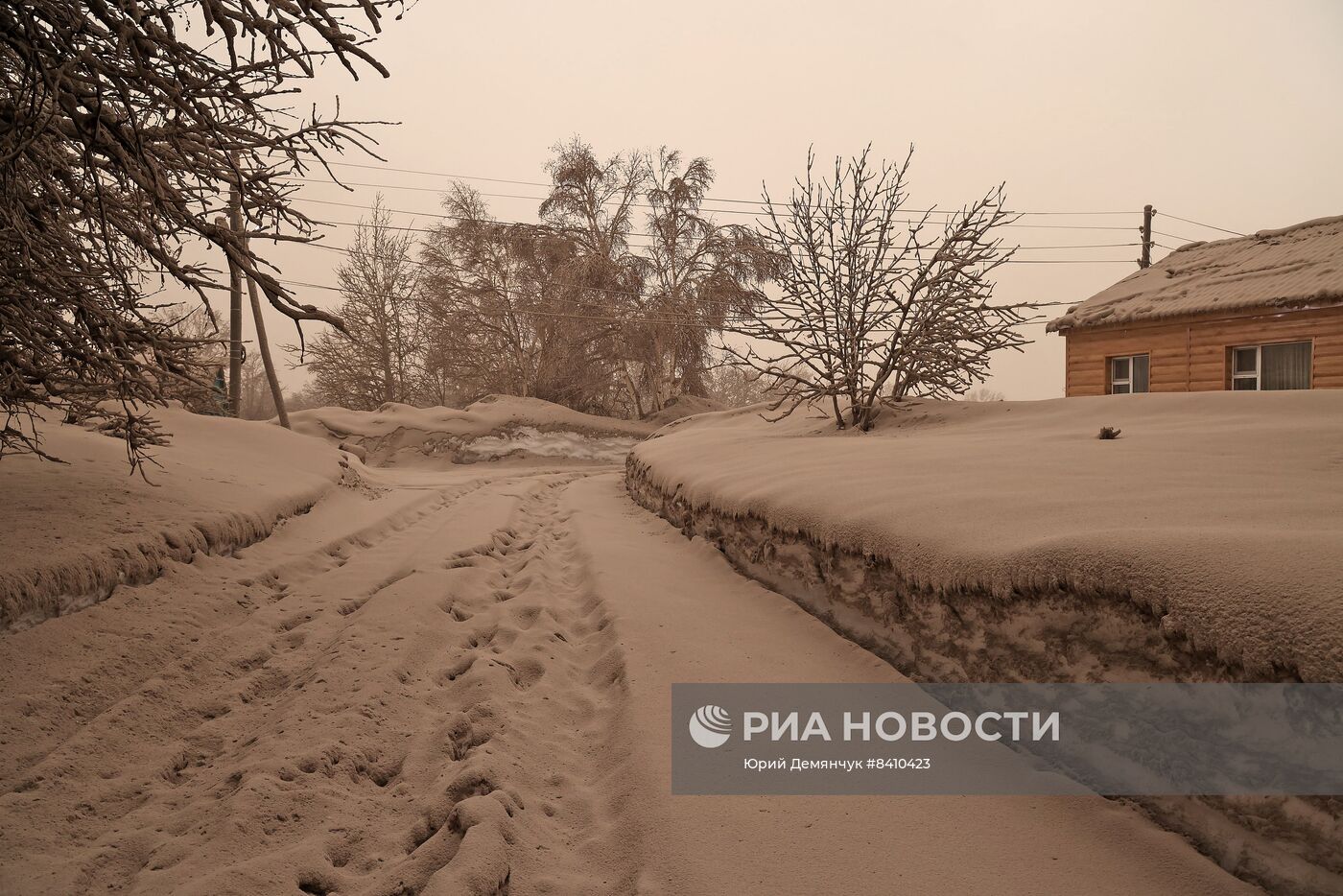 Последствия извержения вулкана Шивелуч на Камчатке