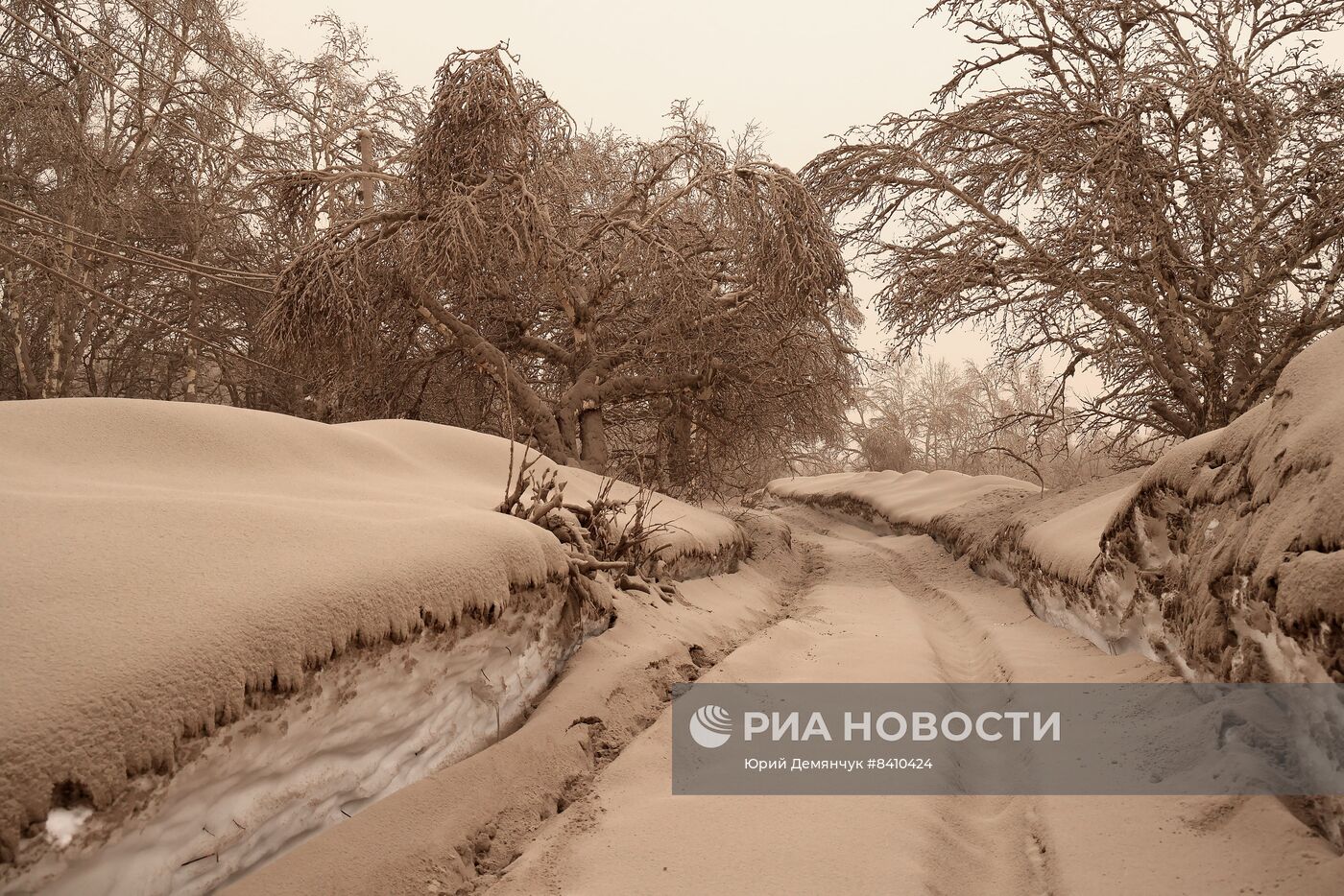 Последствия извержения вулкана Шивелуч на Камчатке