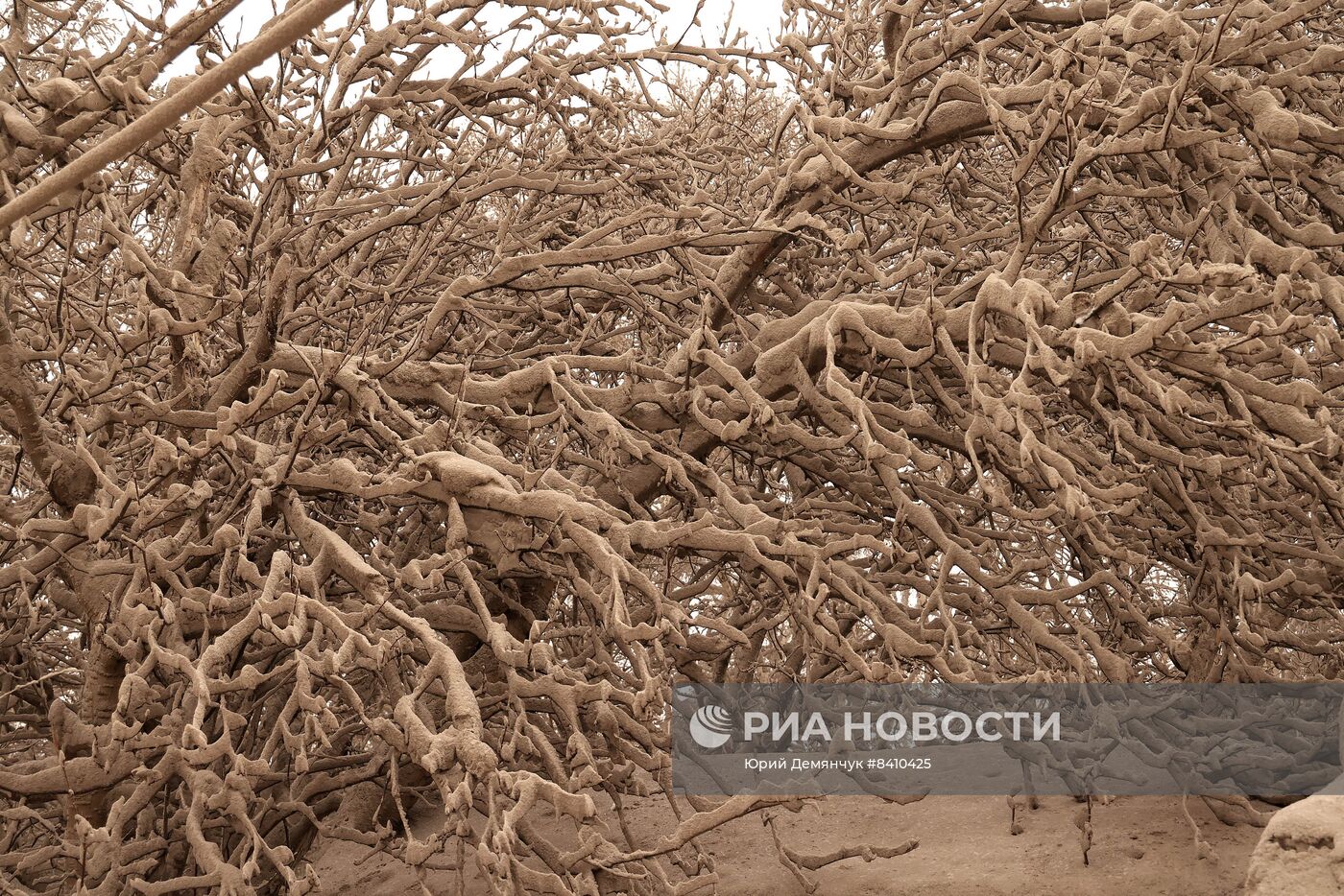 Последствия извержения вулкана Шивелуч на Камчатке