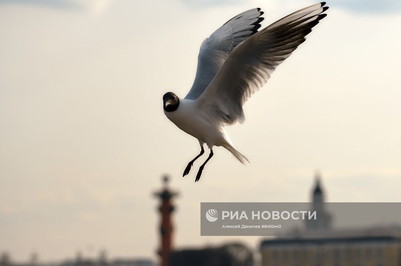 Весна в Санкт-Петербурге