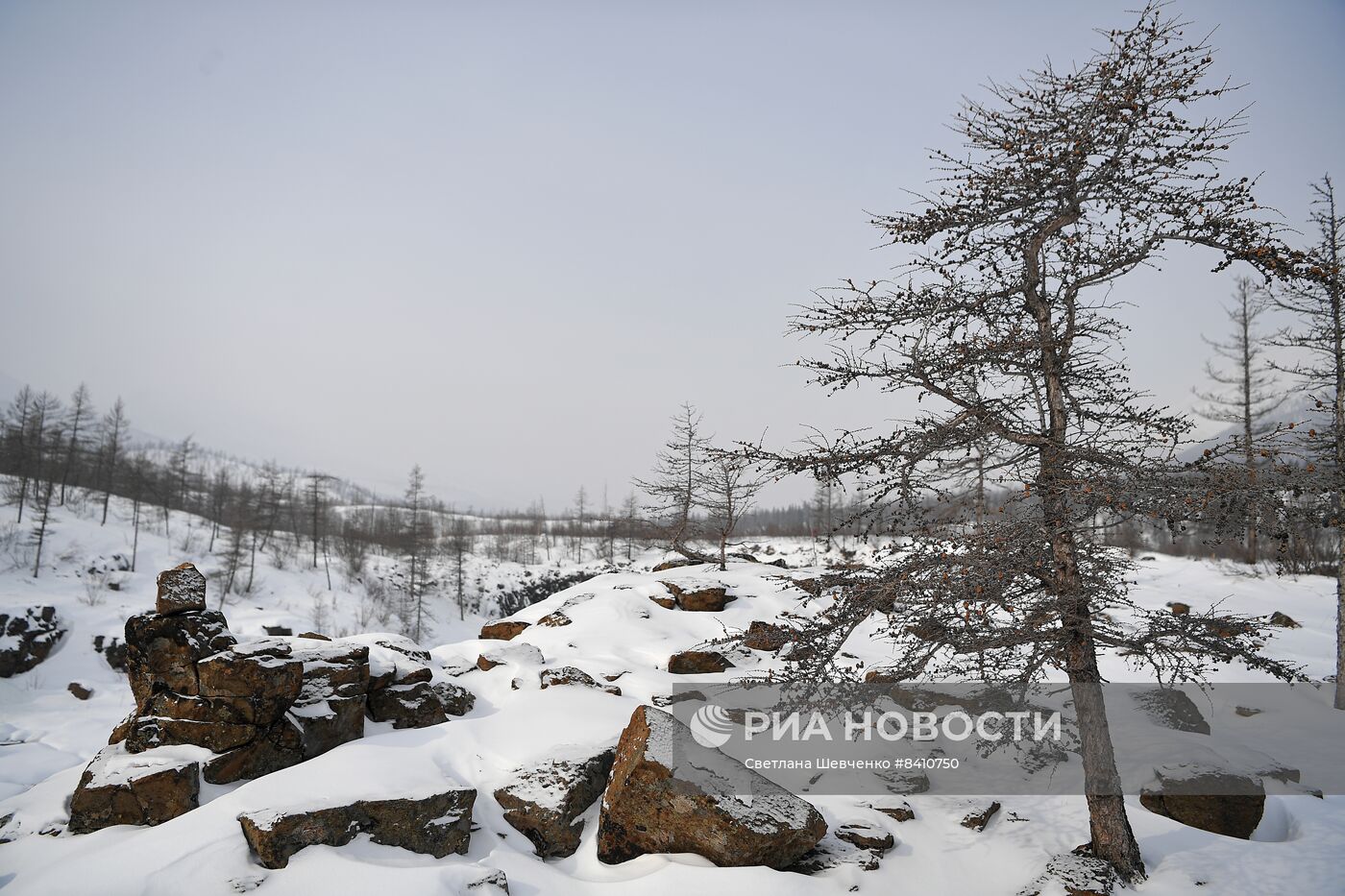 Путоранский заповедник в Красноярском крае