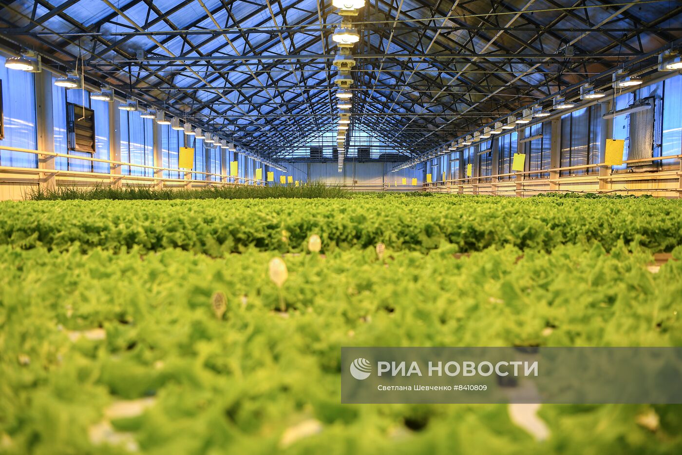 Норильские теплицы