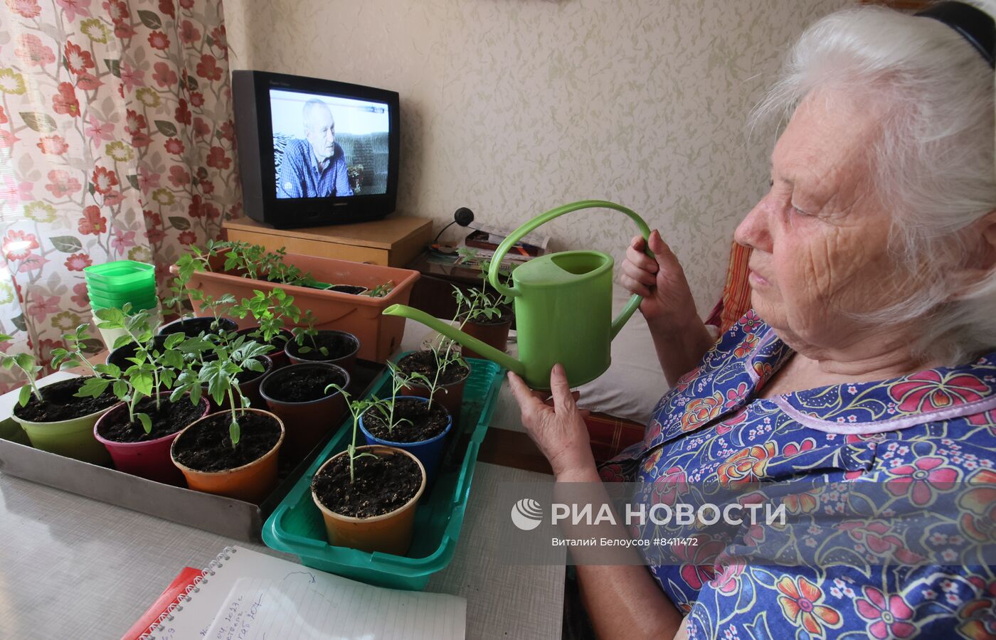 Выращивание рассады в домашних условиях