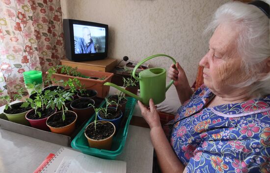 Выращивание рассады в домашних условиях
