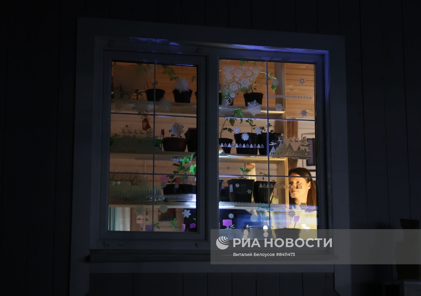 Выращивание рассады в домашних условиях