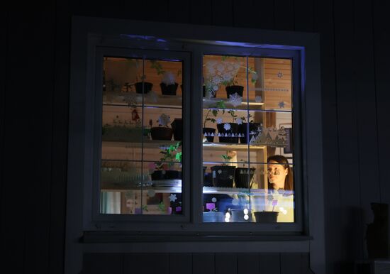 Выращивание рассады в домашних условиях