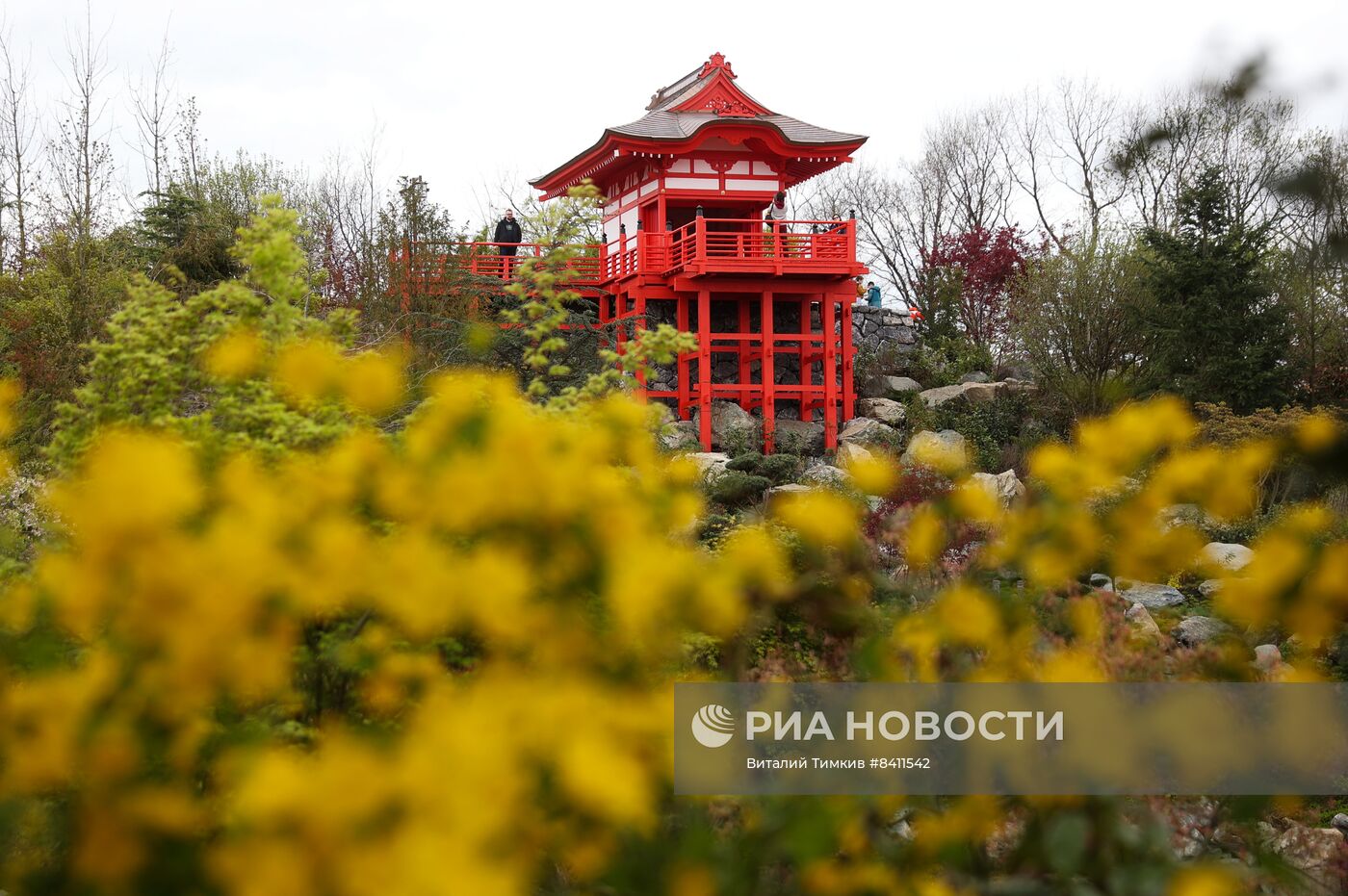 Японский сад открыли в Краснодаре