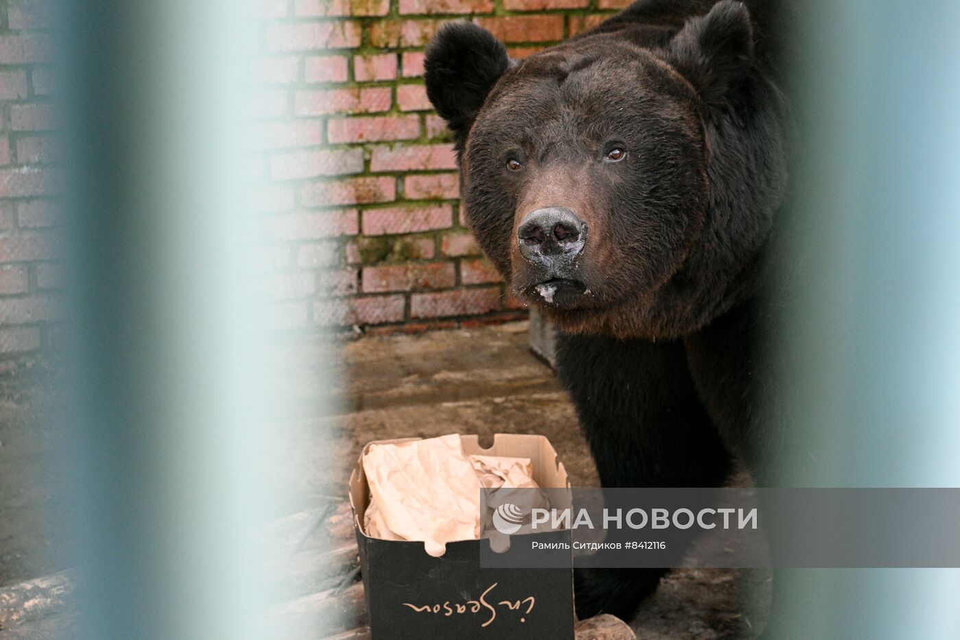 Центр воспроизводства редких видов Московского зоопарка запускает акцию помощи зоопаркам Донбасса