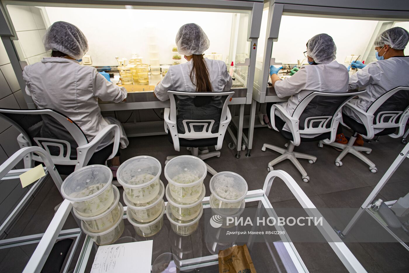 Ученые в Крыму разрабатывают фитопрепарат для лечения рака