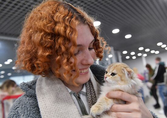 Выставка "КоШарики Шоу" в Москве