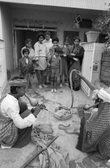 Бродячие факиры в Индии