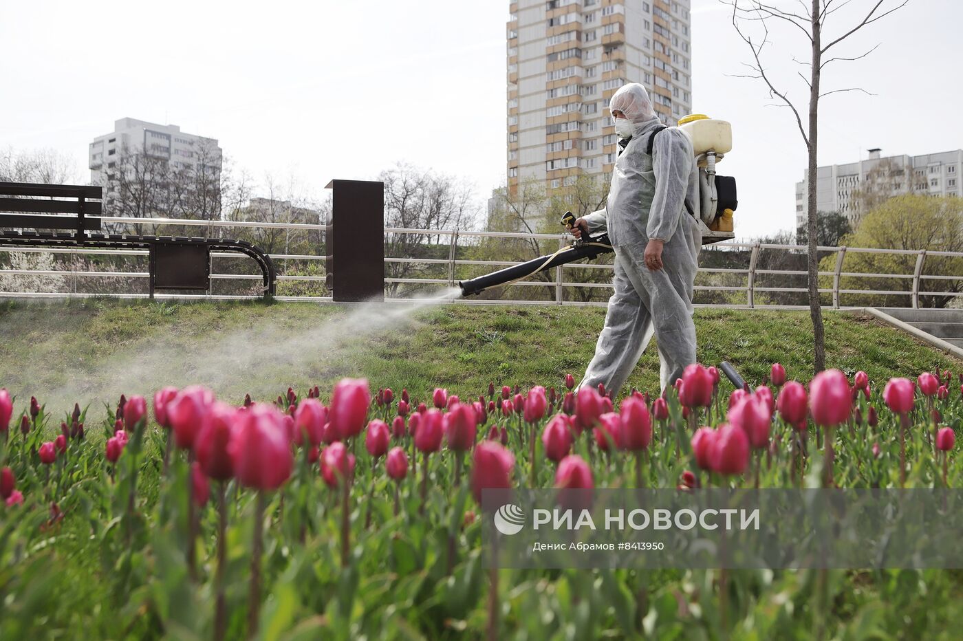 Обработка скверов и парков Кисловодска от клещей