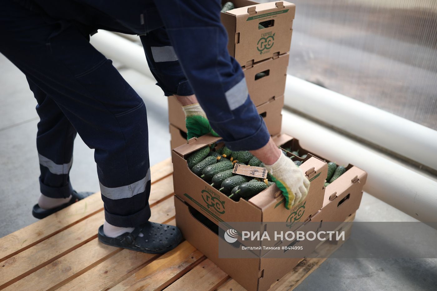 Работа центра селекции растений в Крымске