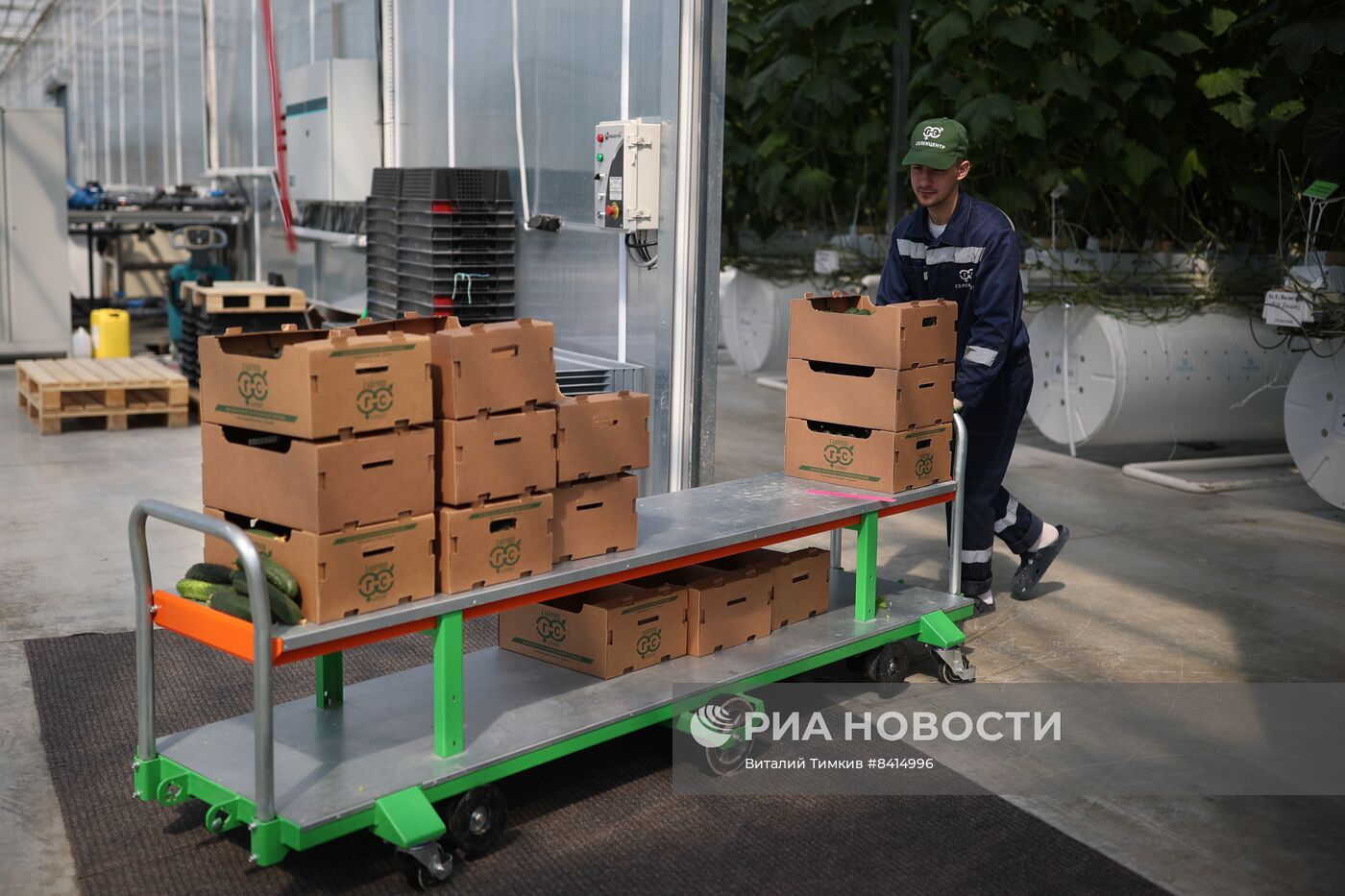 Работа центра селекции растений в Крымске