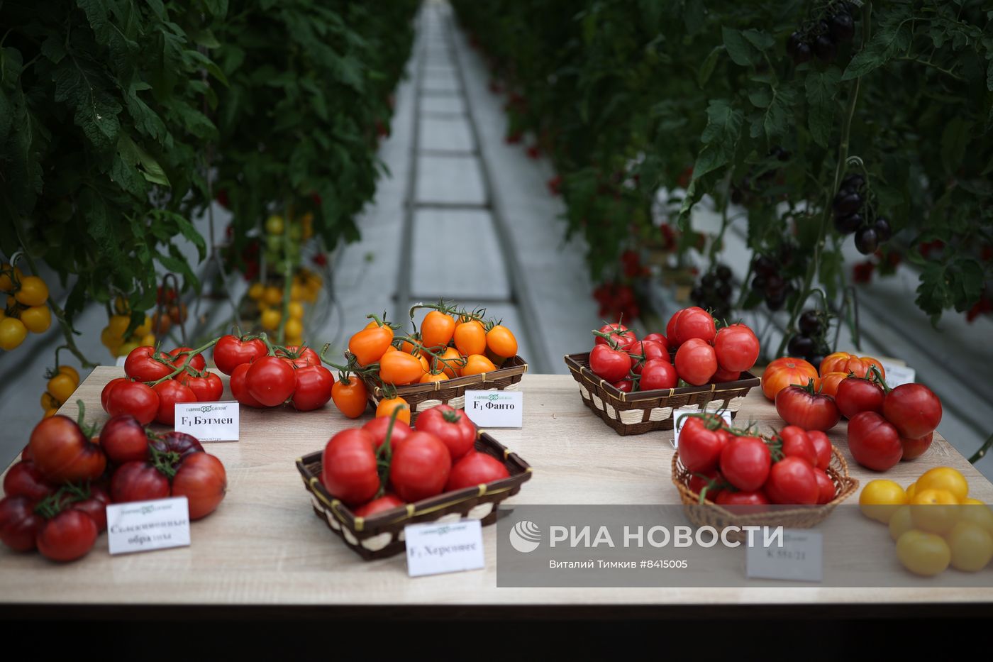 Работа центра селекции растений в Крымске