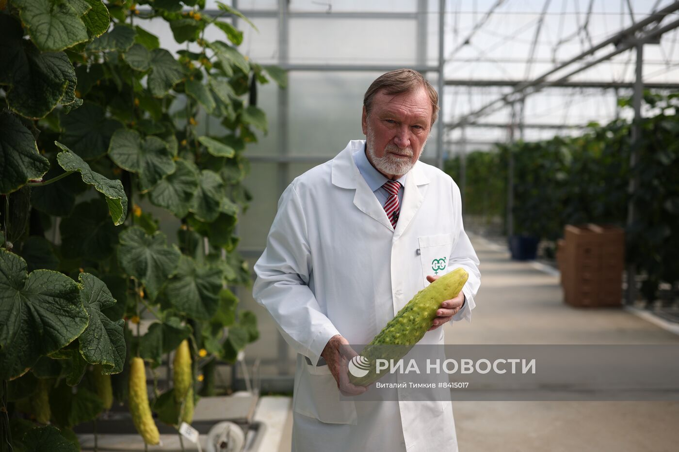 Работа центра селекции растений в Крымске