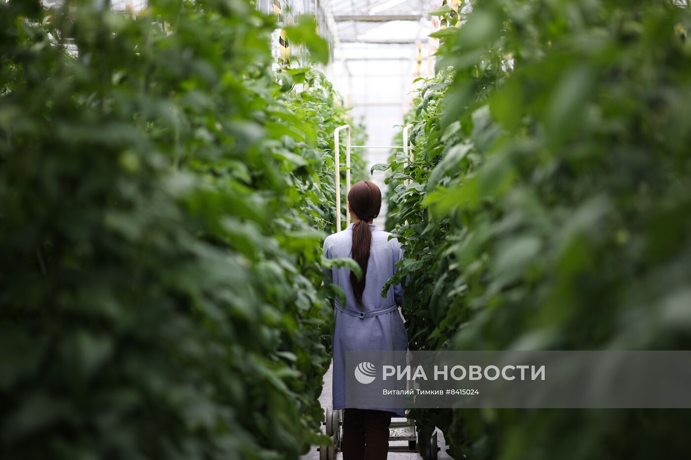 Работа центра селекции растений в Крымске