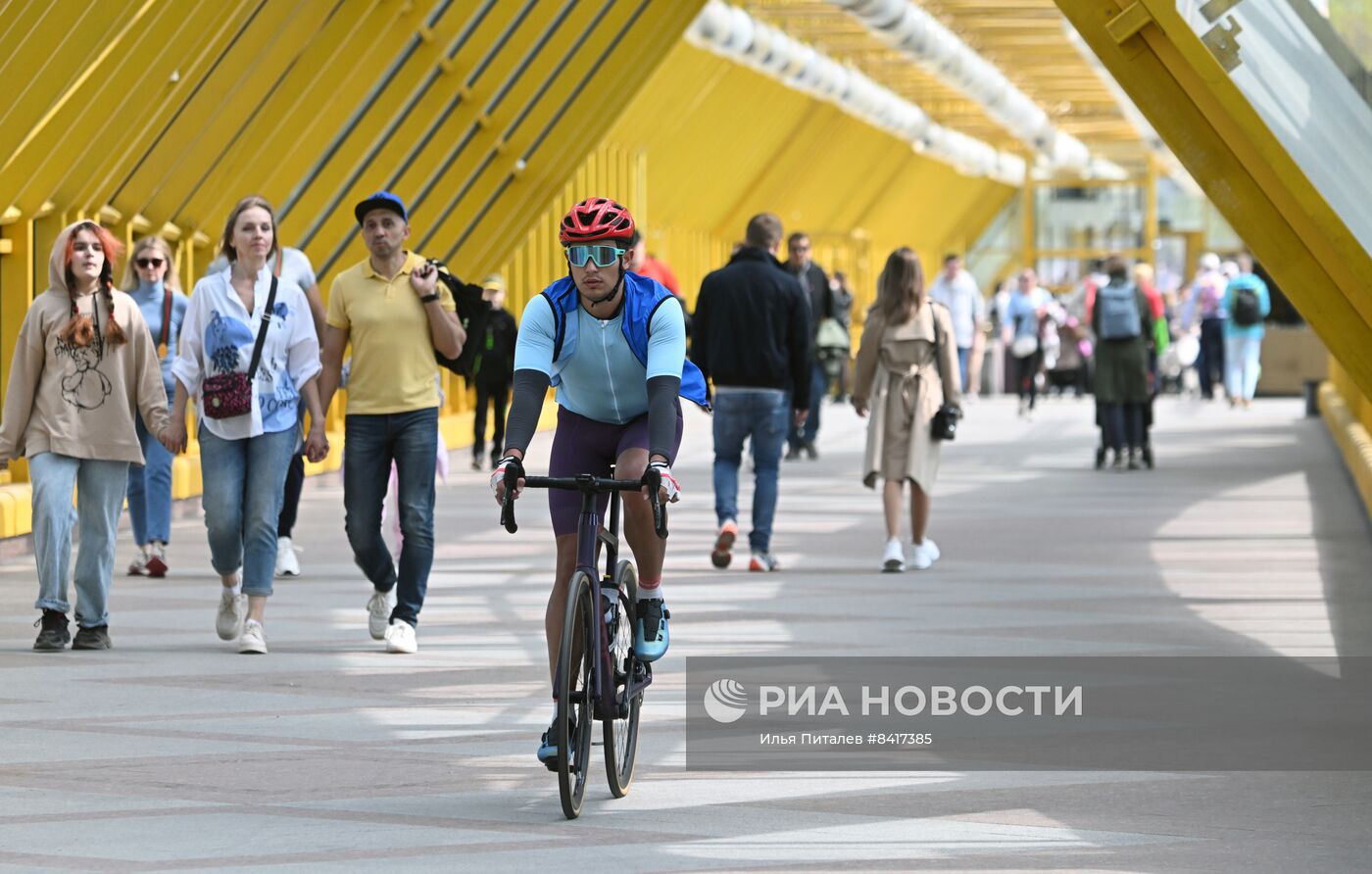 Теплая погода в Москве