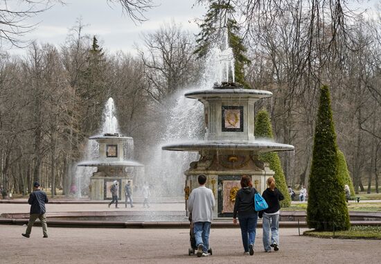 Сезон фонтанов в Петродворце