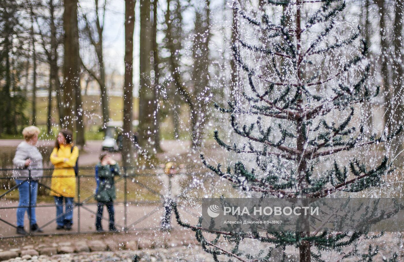 Сезон фонтанов в Петродворце