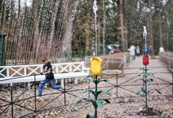 Сезон фонтанов в Петродворце