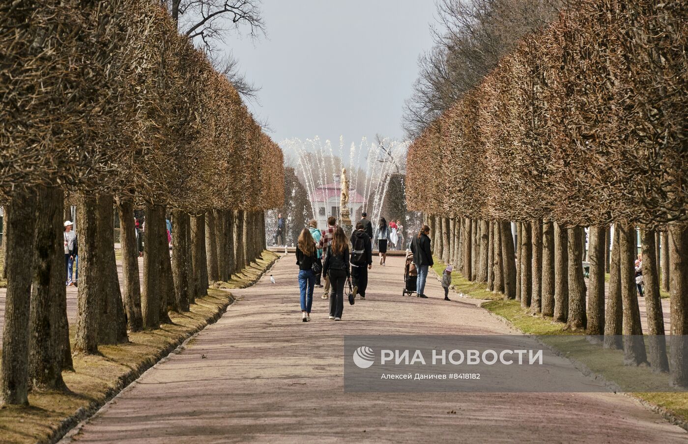 Сезон фонтанов в Петродворце