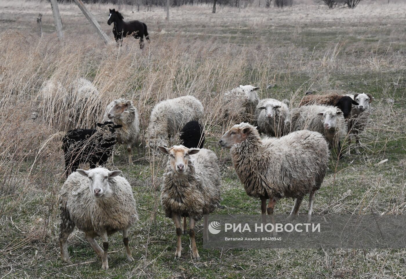 Работа фермерского хозяйства в Приморском крае