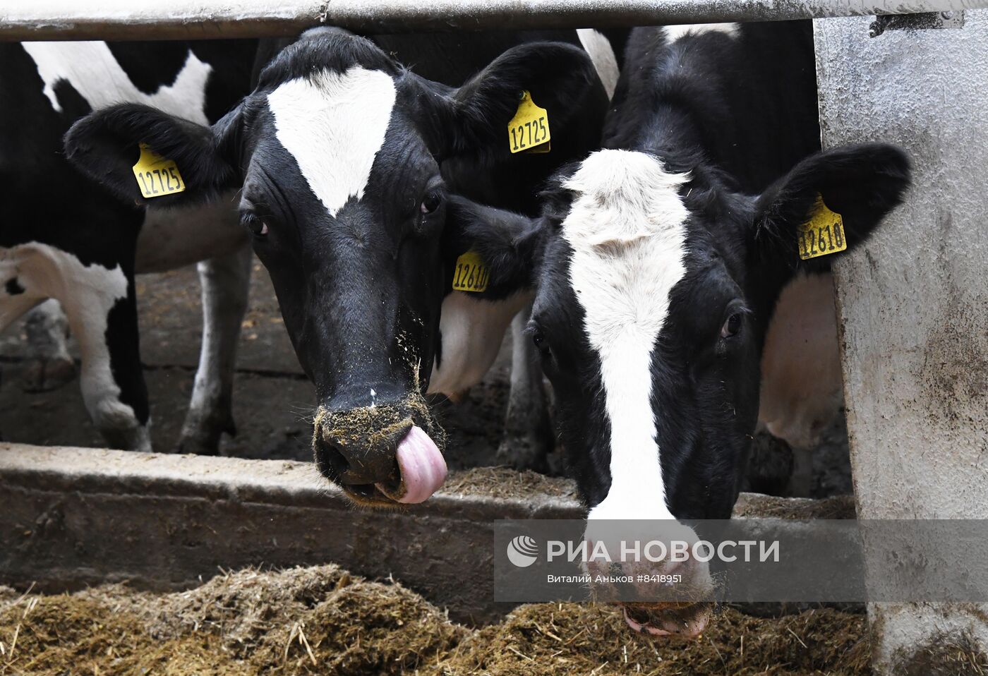 Работа фермерского хозяйства в Приморском крае