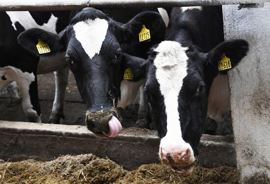 Работа фермерского хозяйства в Приморском крае