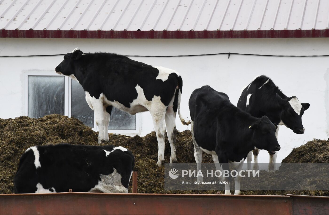 Работа фермерского хозяйства в Приморском крае