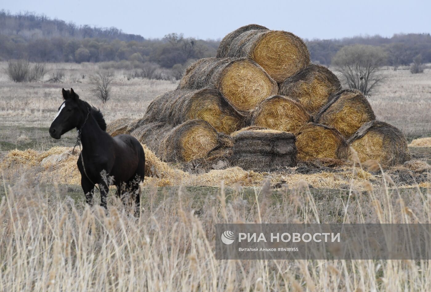 Работа фермерского хозяйства в Приморском крае