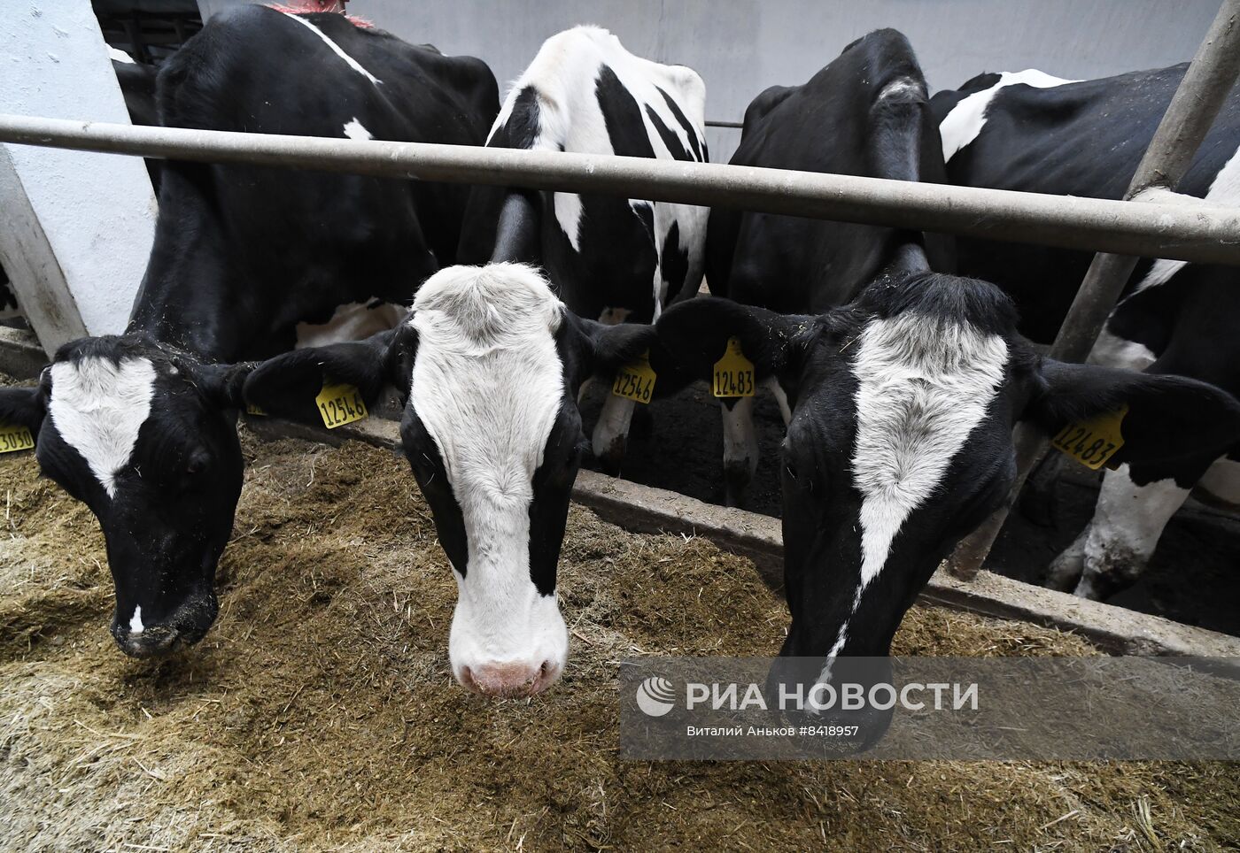 Работа фермерского хозяйства в Приморском крае