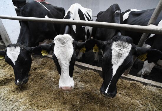 Работа фермерского хозяйства в Приморском крае