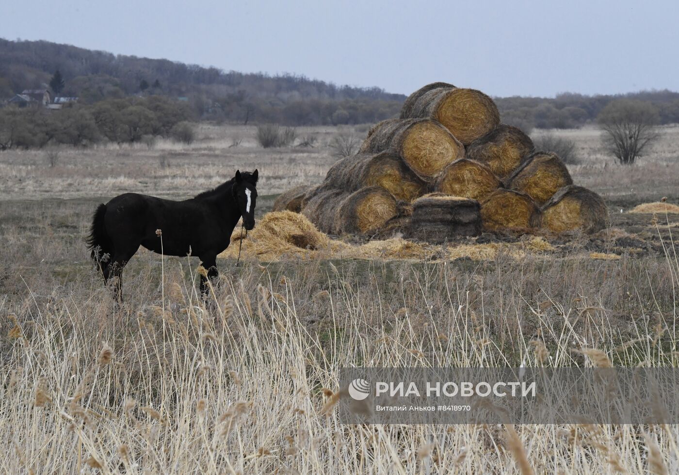 Работа фермерского хозяйства в Приморском крае