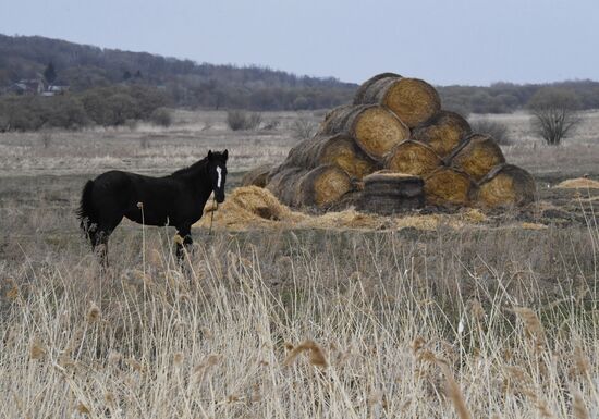 Работа фермерского хозяйства в Приморском крае