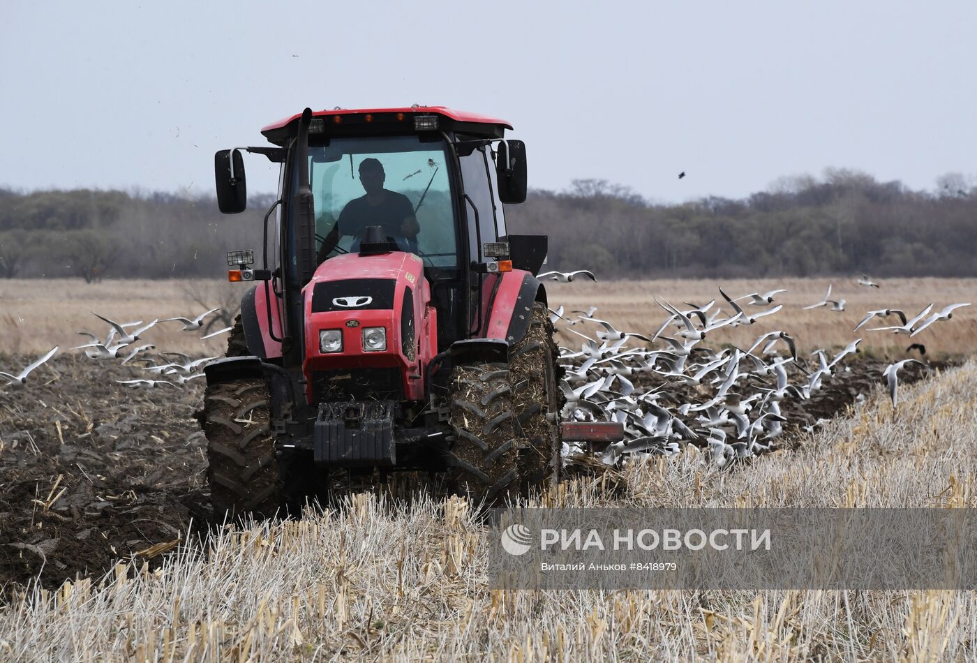 Работа фермерского хозяйства в Приморском крае