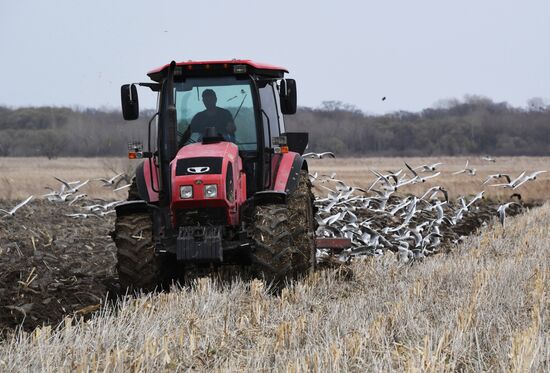 Работа фермерского хозяйства в Приморском крае