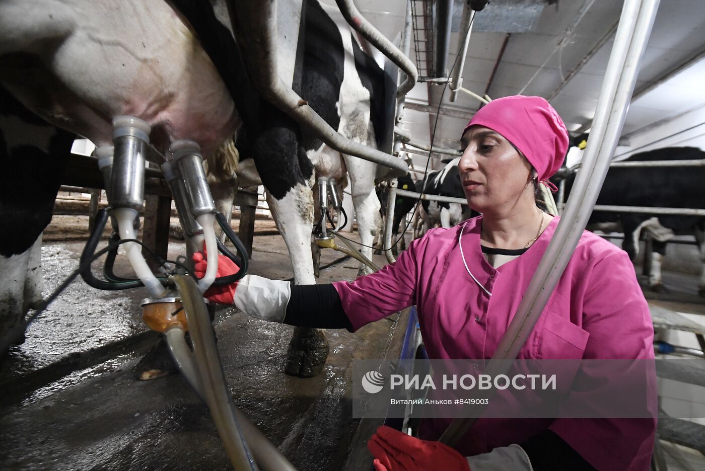 Работа фермерского хозяйства в Приморском крае