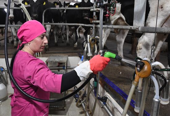 Работа фермерского хозяйства в Приморском крае