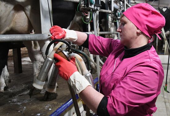 Работа фермерского хозяйства в Приморском крае