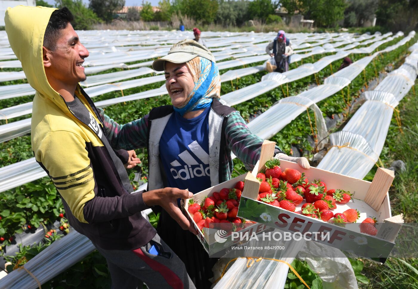 Фермерское хозяйство в Турции