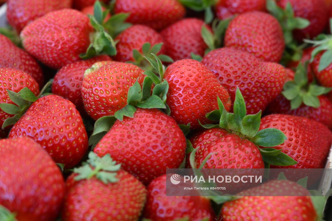 Фермерское хозяйство в Турции