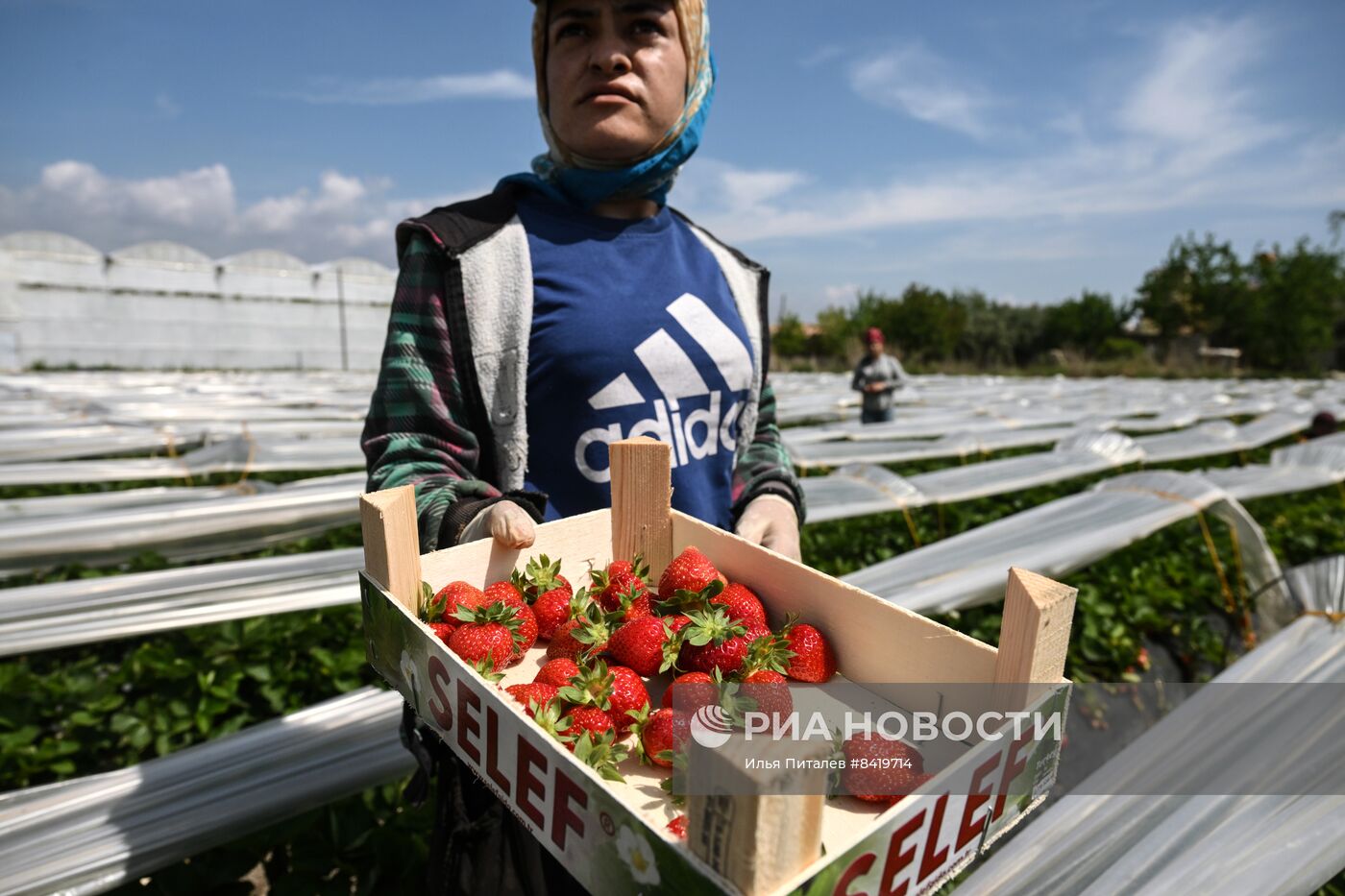 Фермерское хозяйство в Турции