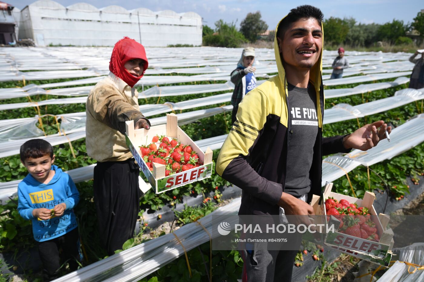 Фермерское хозяйство в Турции