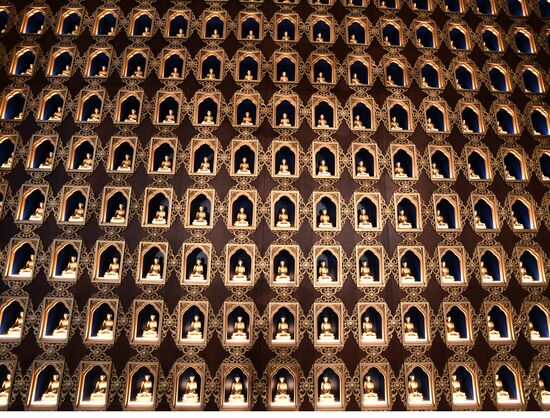 Буддийский  монастырь "Тубтен Шедруб Линг" накануне открытия